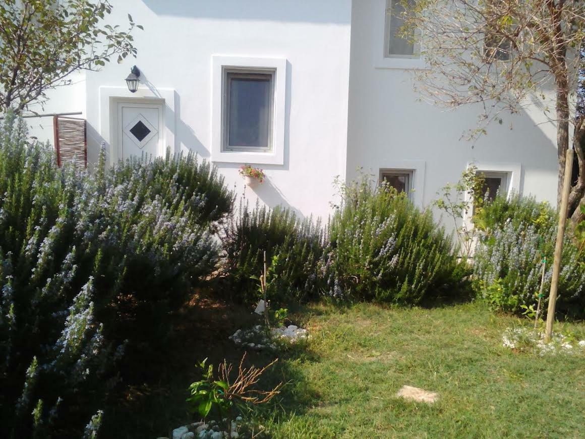Apartments Lovor سيلبا المظهر الخارجي الصورة