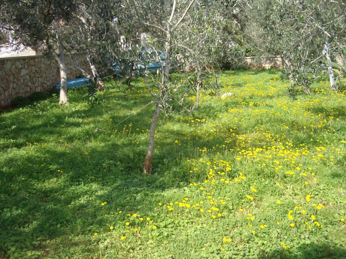 Apartments Lovor سيلبا المظهر الخارجي الصورة