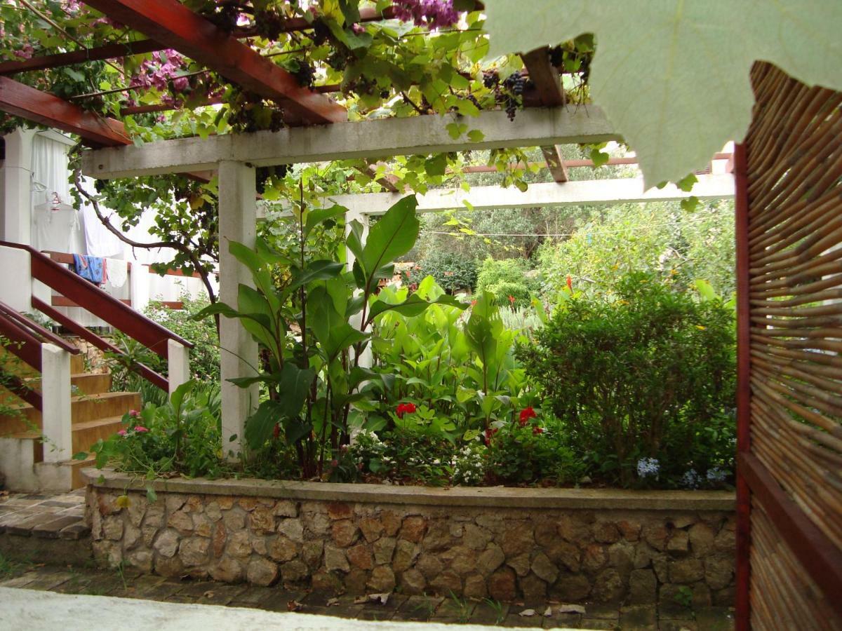 Apartments Lovor سيلبا المظهر الخارجي الصورة