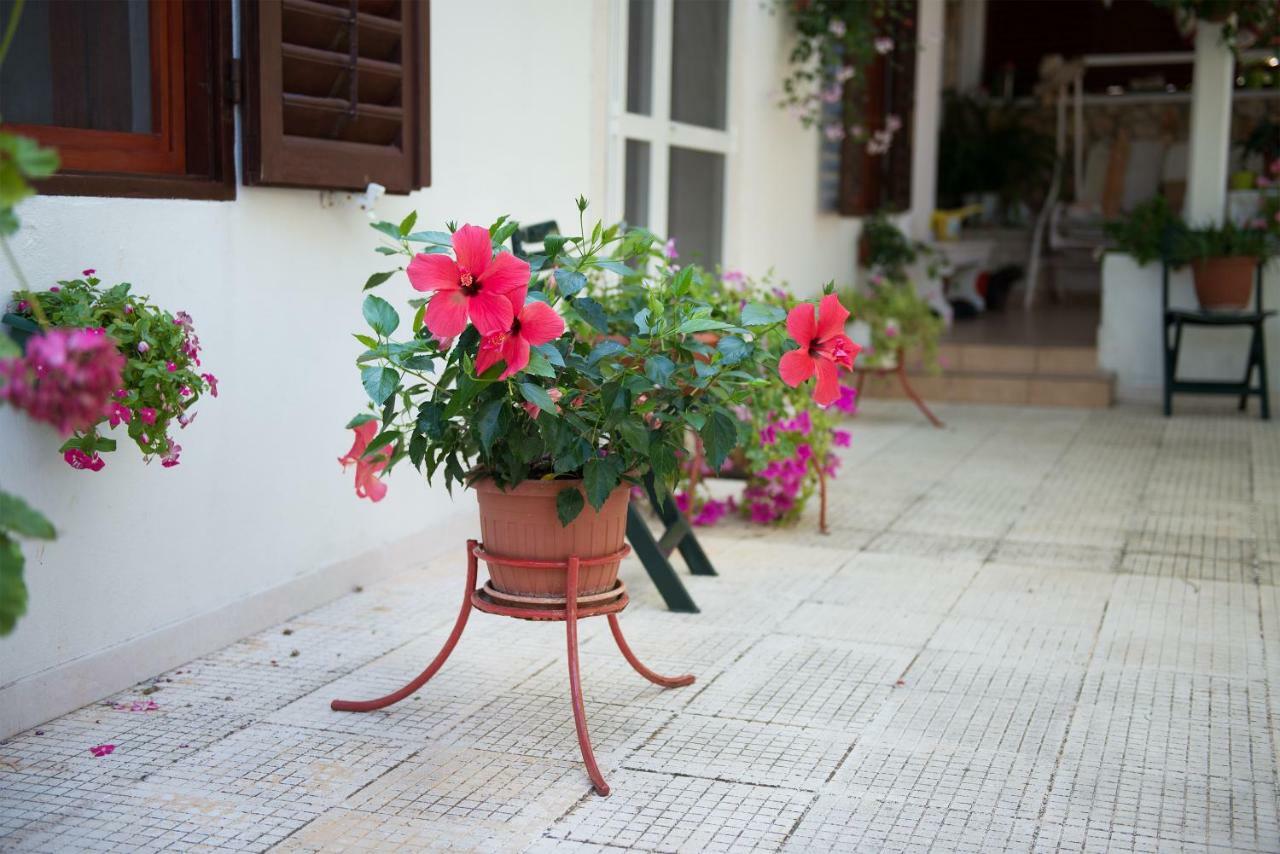 Apartments Lovor سيلبا المظهر الخارجي الصورة