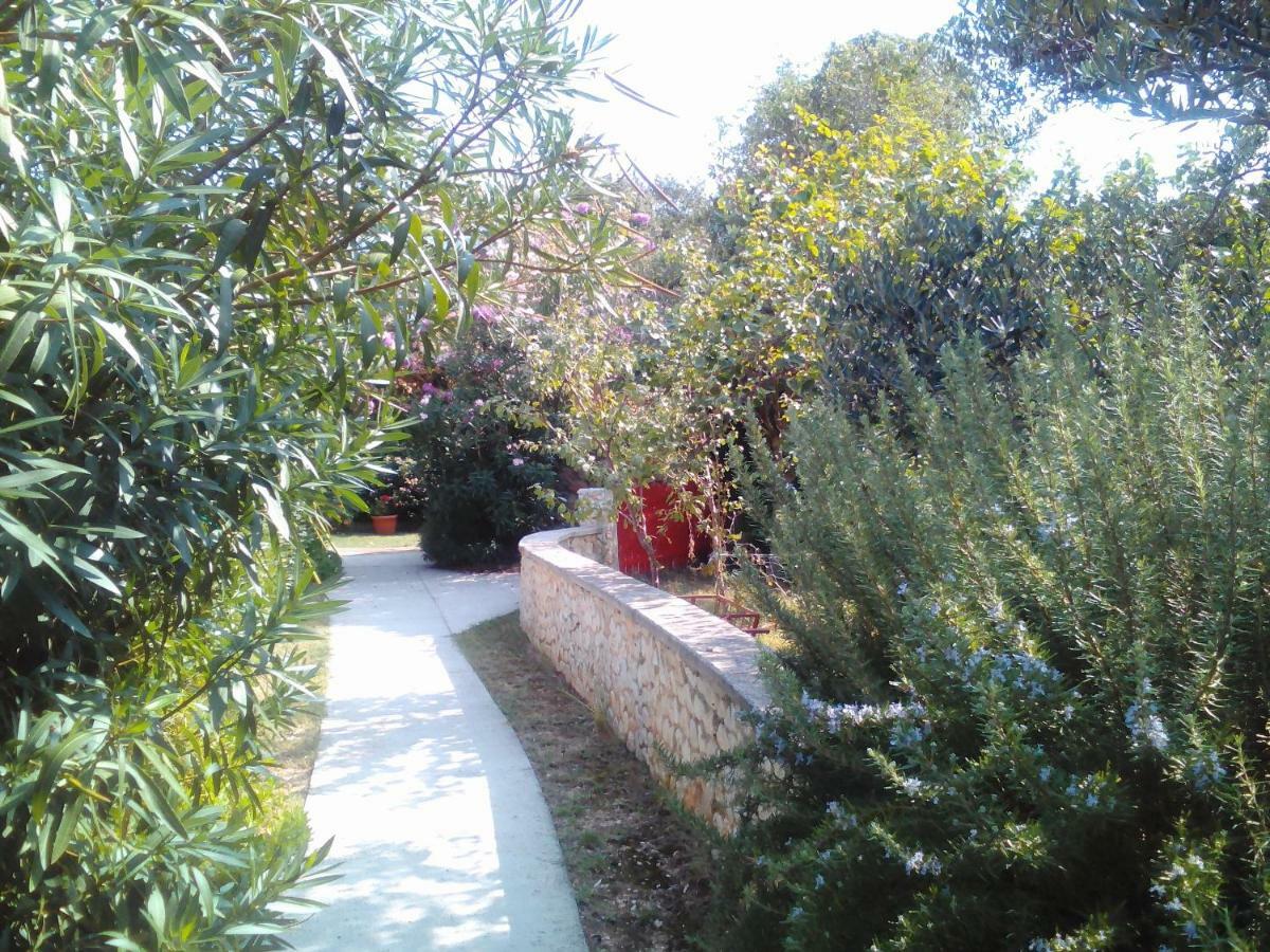 Apartments Lovor سيلبا المظهر الخارجي الصورة