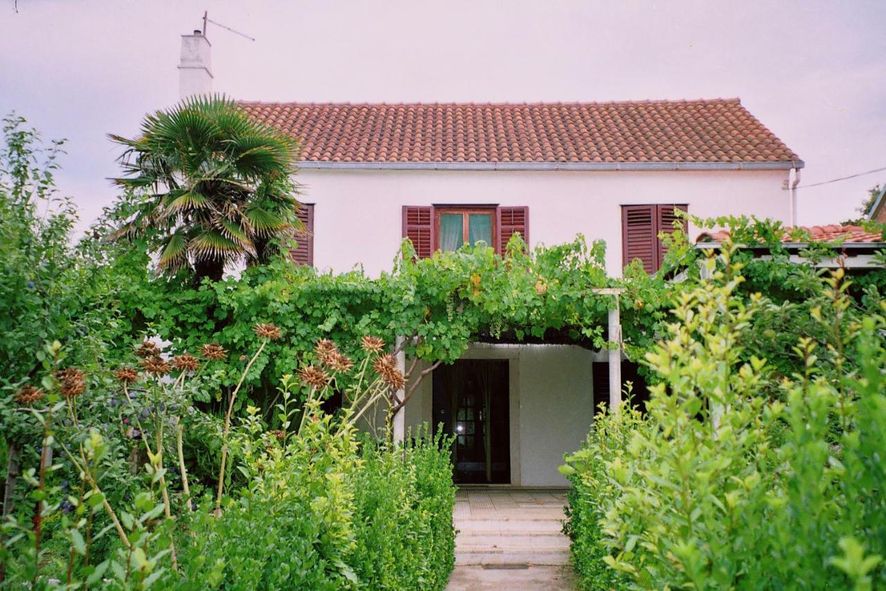 Apartments Lovor سيلبا المظهر الخارجي الصورة